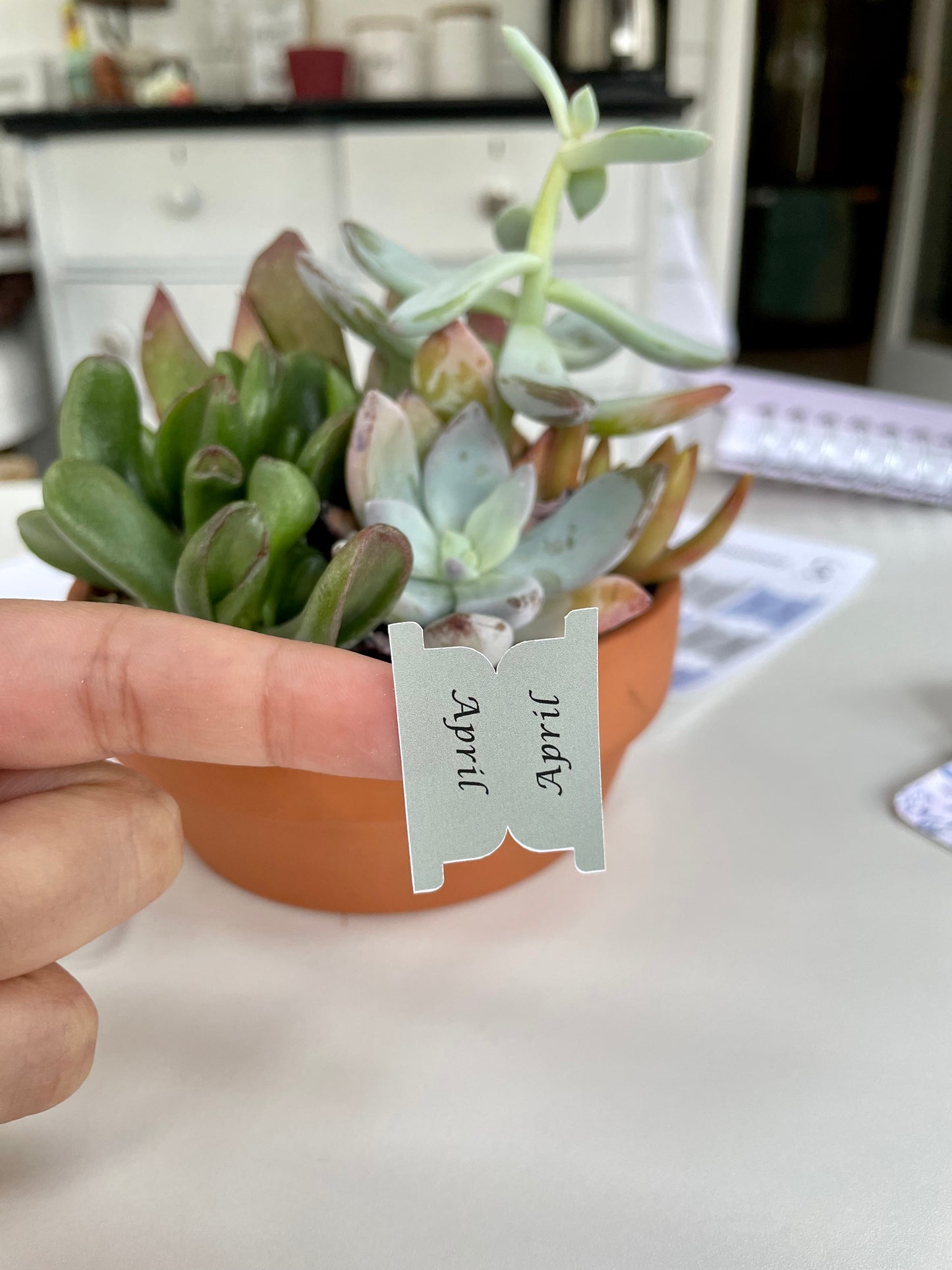 Green Planner Tabs – Elegant & Inspirational Organization for Your Planner