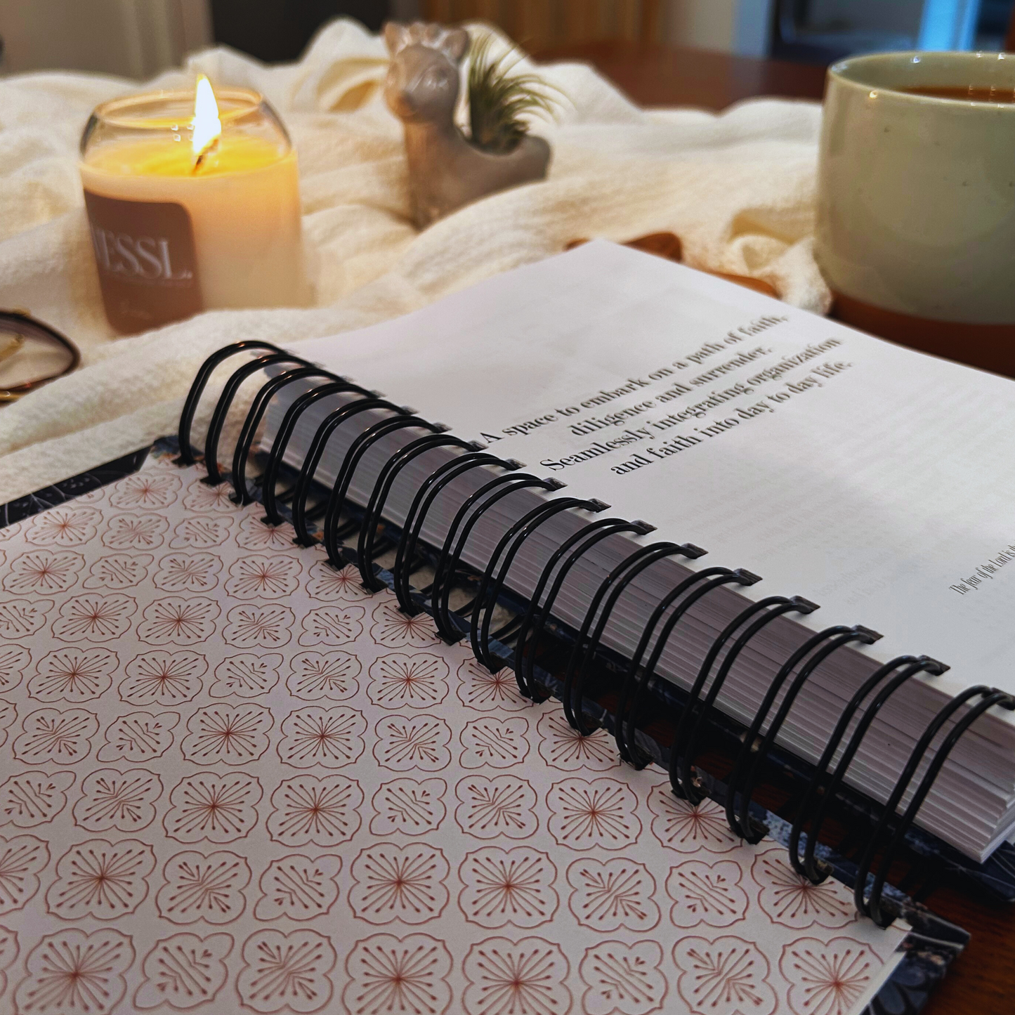 Audacious Faith Planner